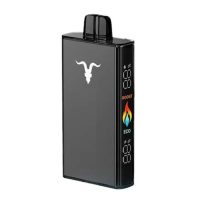 Vaper Descartable 25000 Puffs Ignite V250 Black Banana Coconut